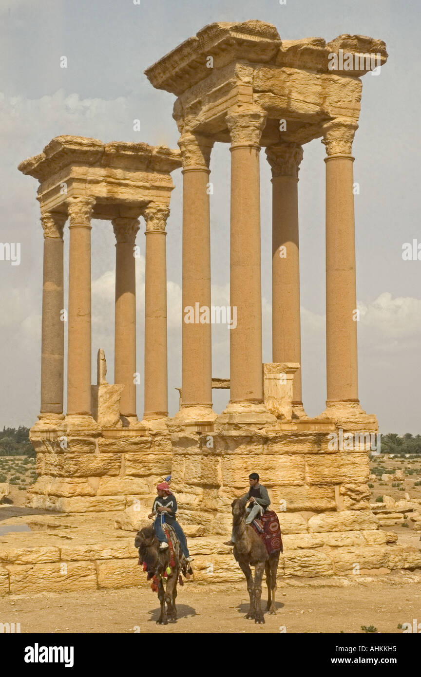 Arabs with her camels hi-res stock photography and images - Alamy