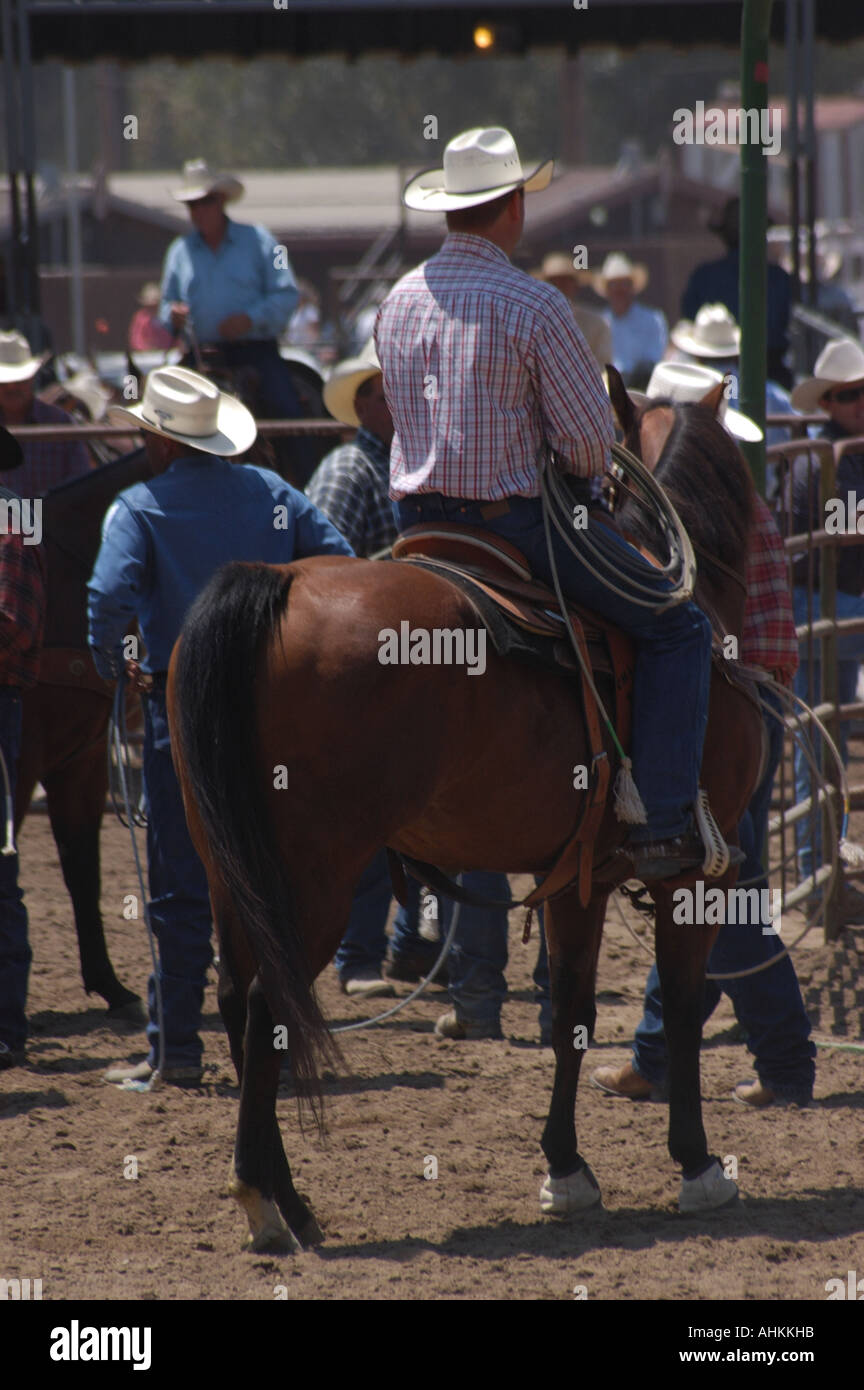 Rodeo photo hi-res stock photography and images - Alamy