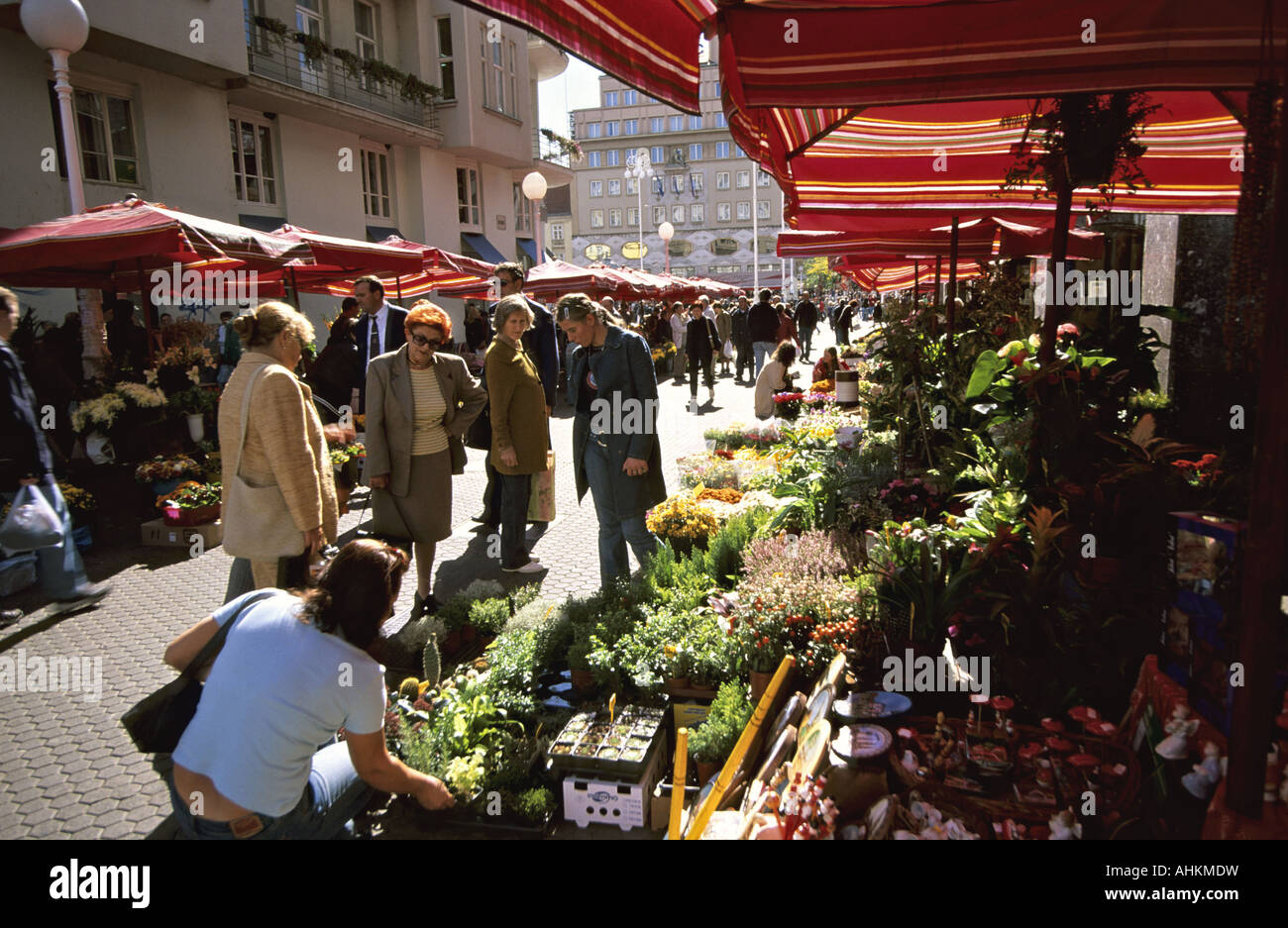 HRV Kroatien Zagreb Blumenmarkt in Zagreb Croatia Flower Market in