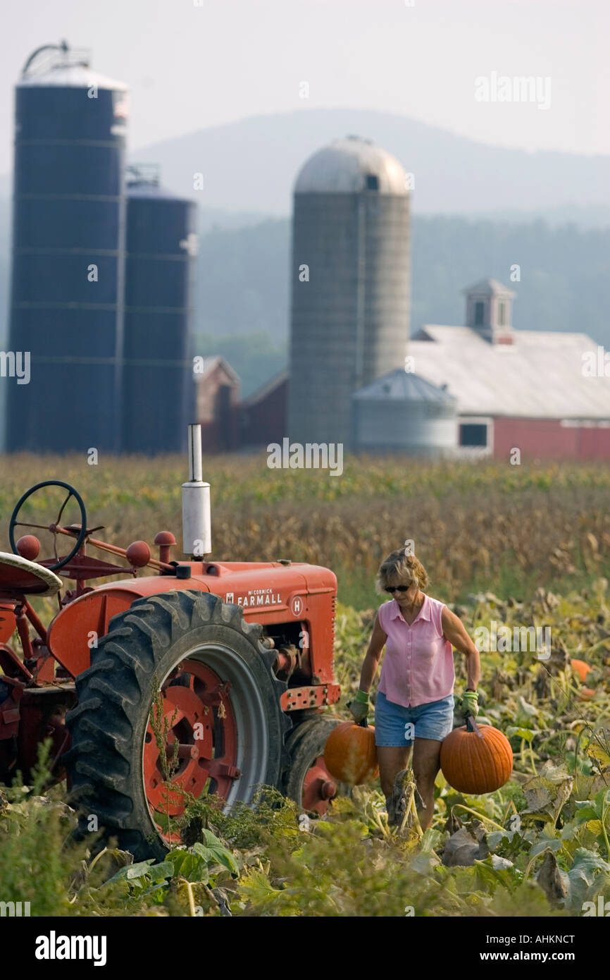 Pumpkin harvest at Boyden Valley Farm in Cambridge Vt fall season 2005