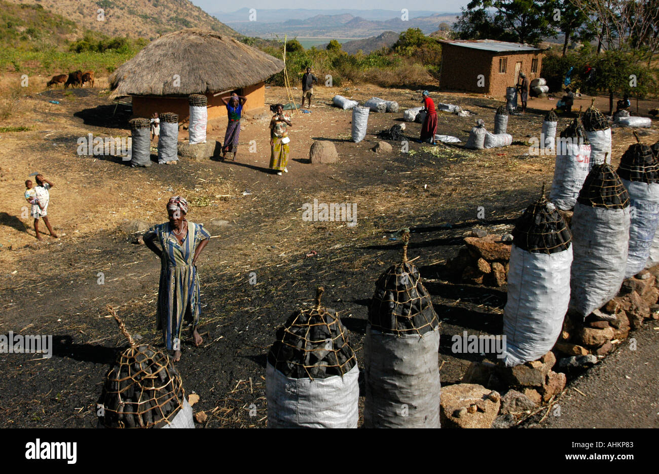 Africa Kenya Tanzania charcoal fuel burning fire Stock Photo