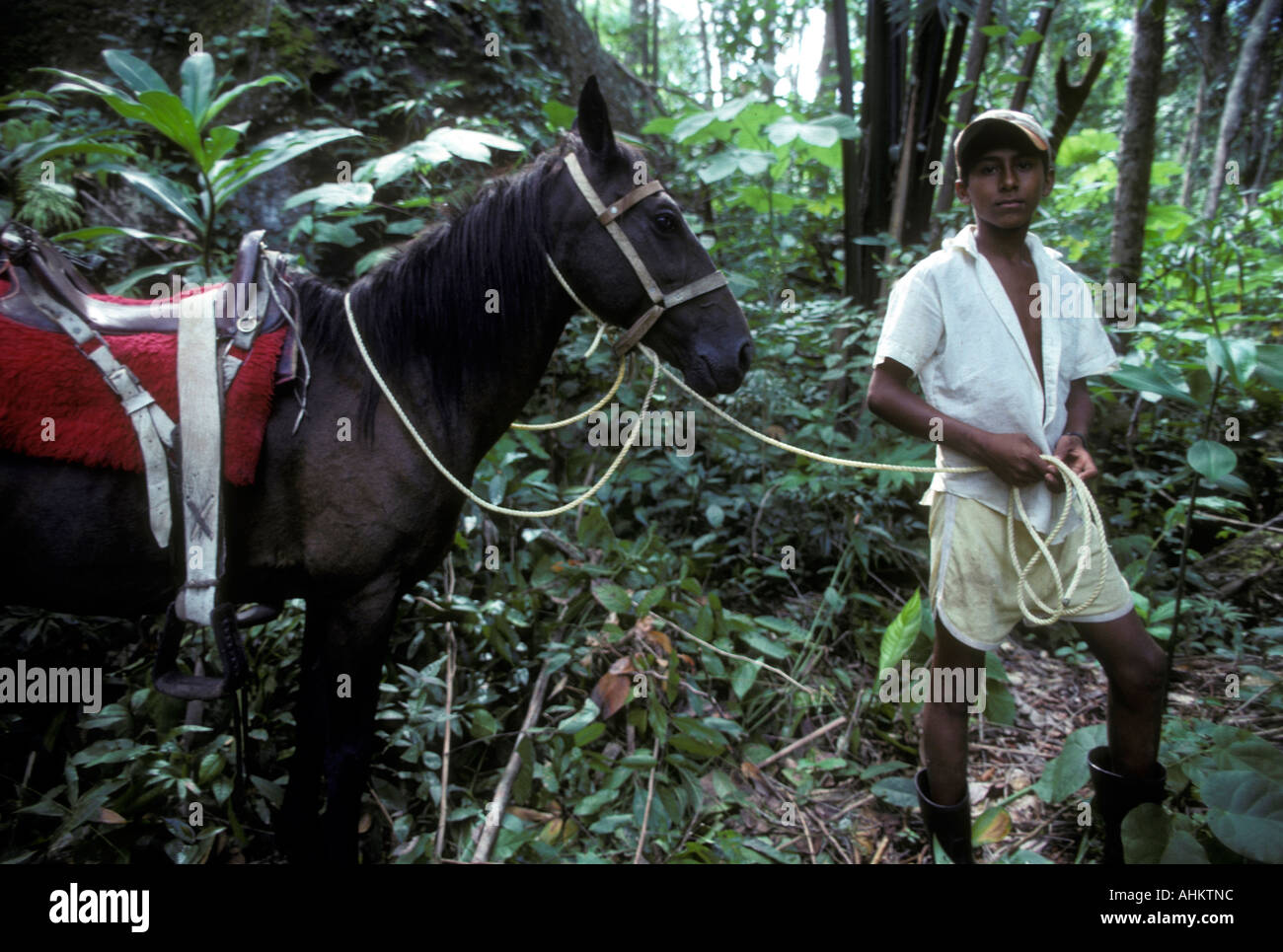 Venezuela Amazonas Territory Puerto Ayacucho Young man leads horse through jungle near Orinoco River Stock Photo