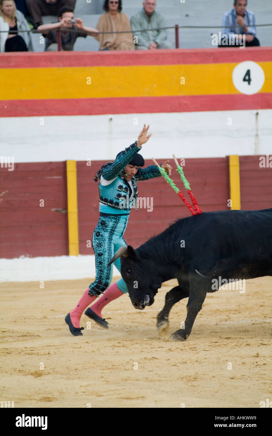 torero sticks in the banderillas during a bull fight, sticks with hooks, said to release the pressure in the bull Stock Photo