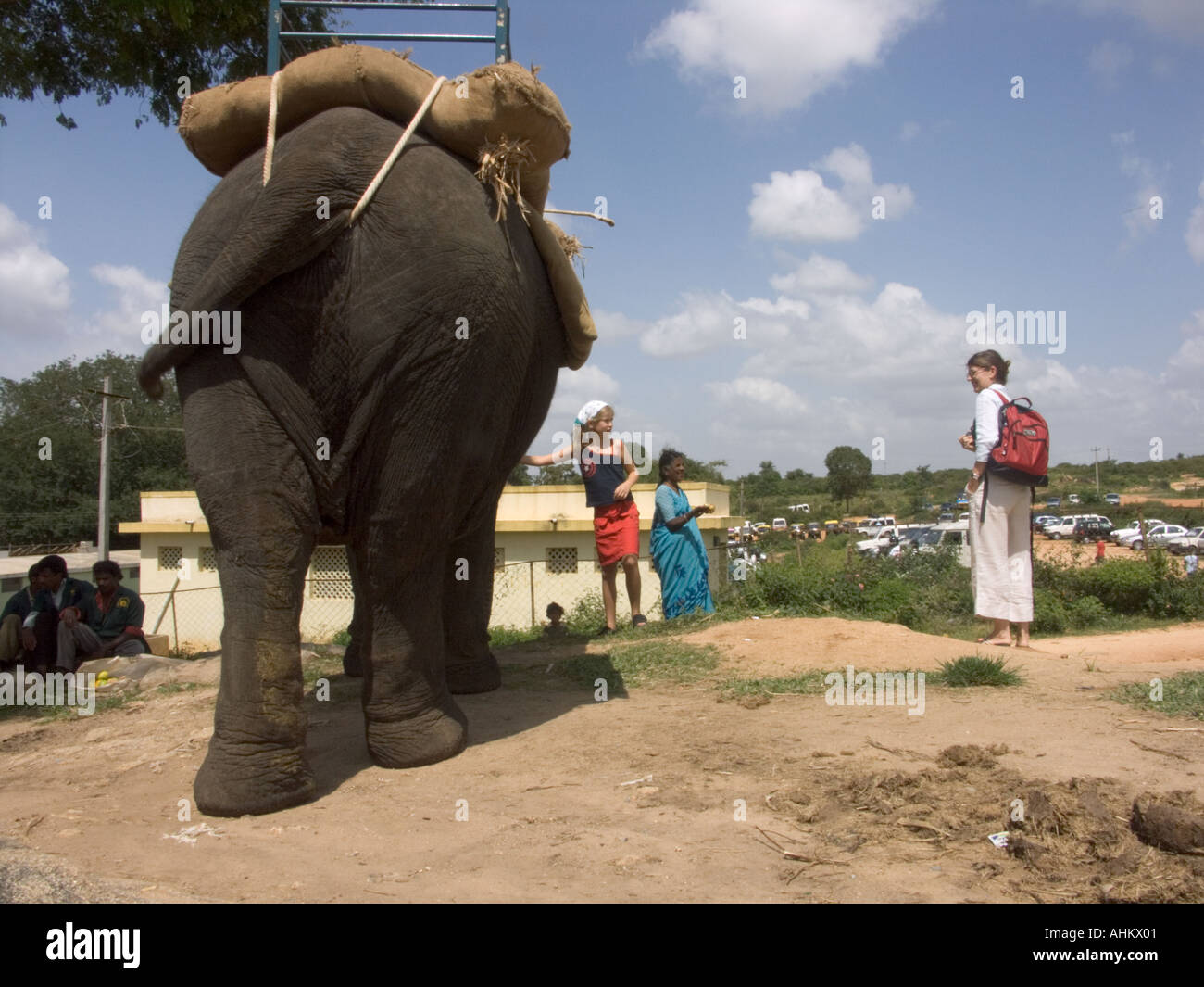 Zoo elephant ride hi-res stock photography and images - Alamy