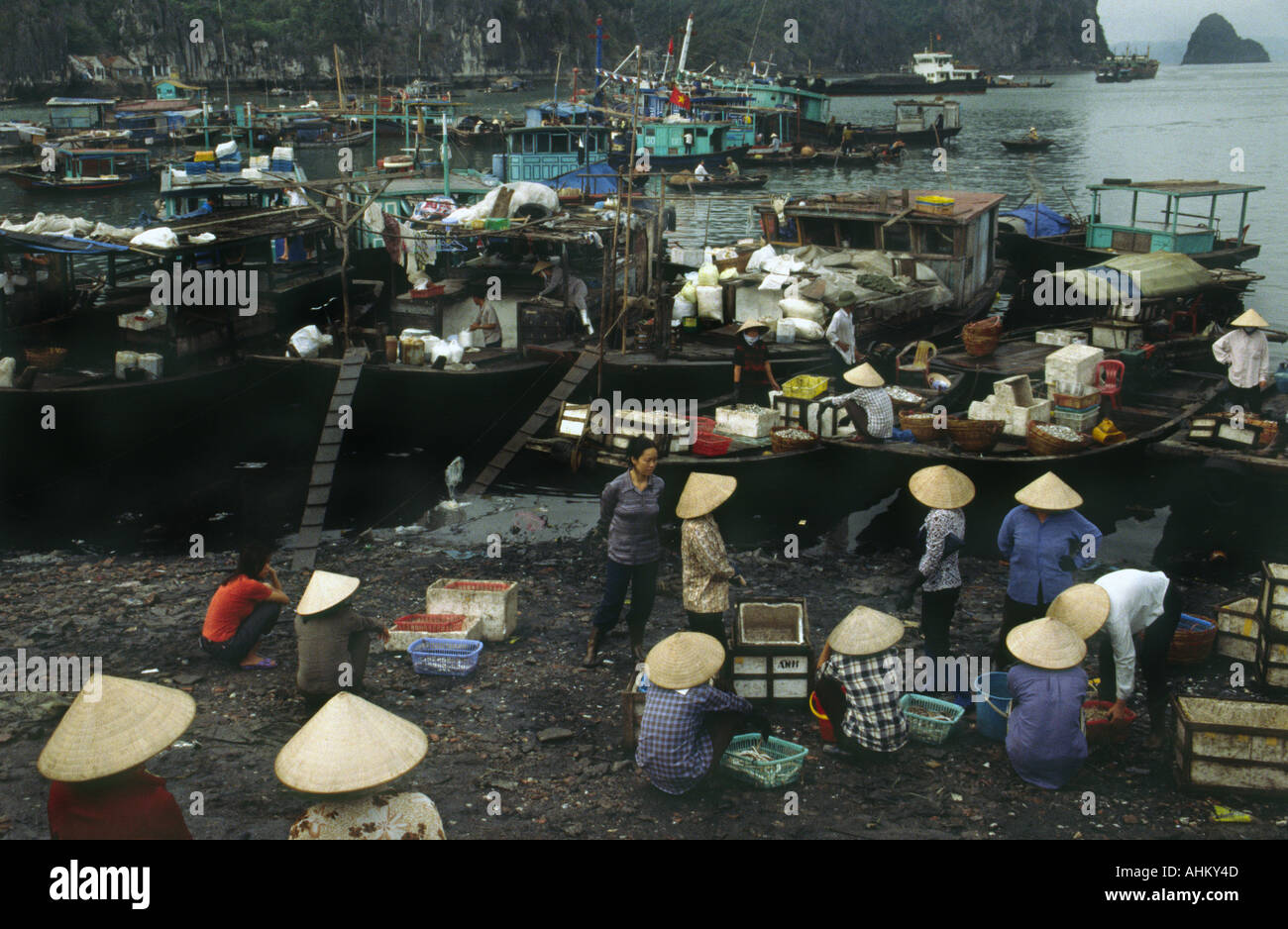 Hong Gai fish market in Halong Bay in Vietnam Stock Photo Alamy
