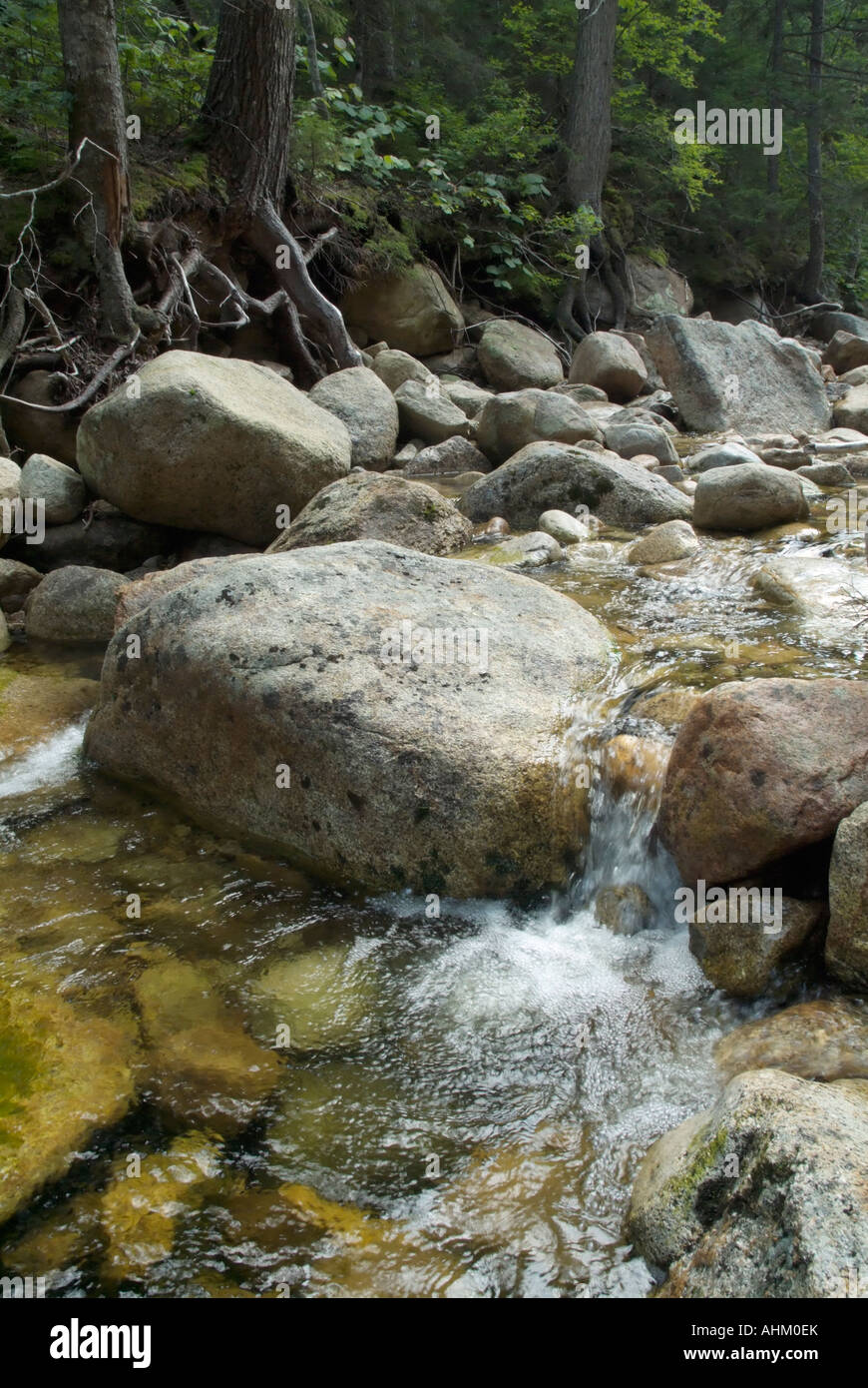 Sawyer River on Hancock Notch Trail during the summer months Located in the White Mountains New