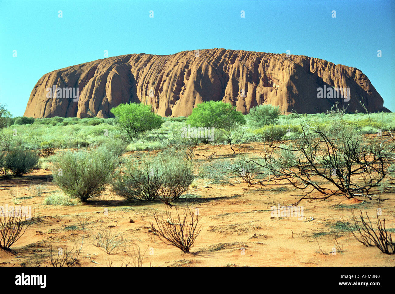 forbandelse Arving Så hurtigt som en flash Uluru, Ayers Rock, Red Center, Outback Australia, Kata Tjuta National Park,  Red, Blue, Green, Mountain, Nature, Bushes Stock Photo - Alamy