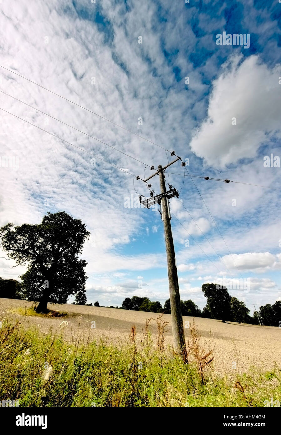 telephone cables and wires Stock Photo Alamy