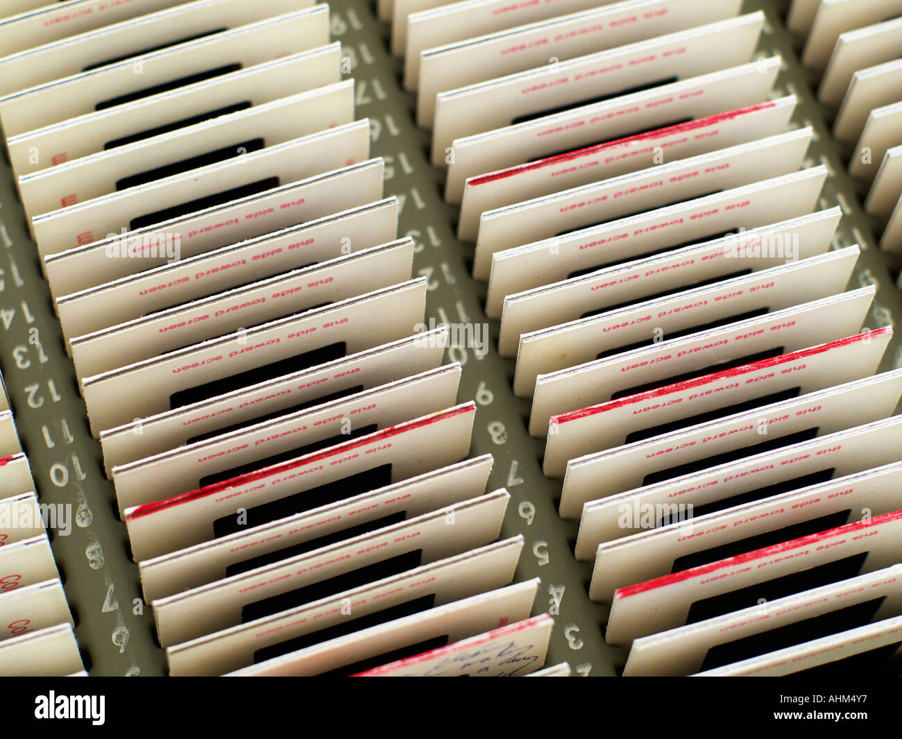 Rows and rows of photographic slides in a slide organizing tray, in ...