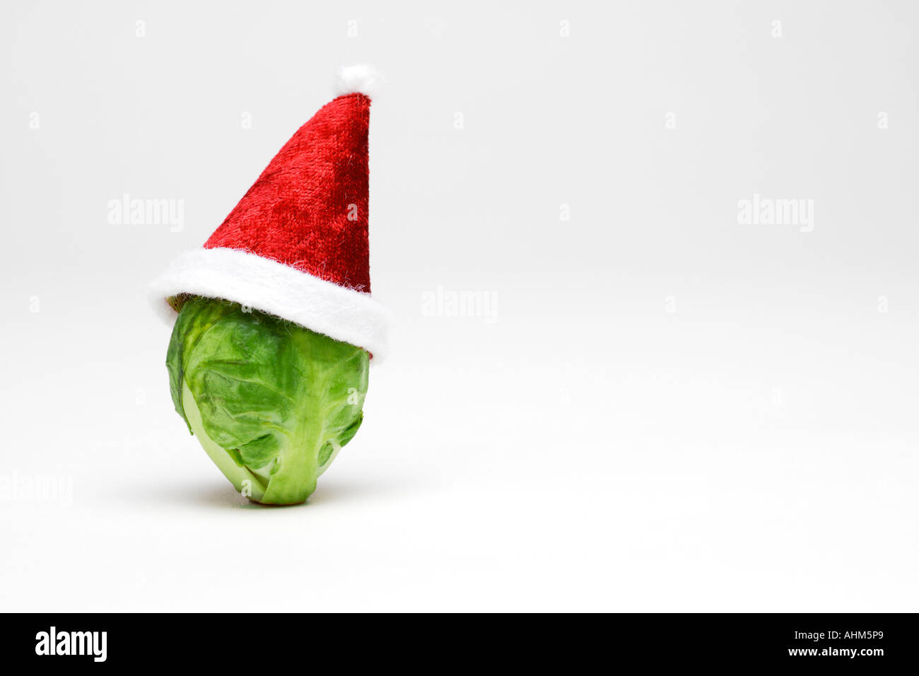 Sprout christmas hat Clearance