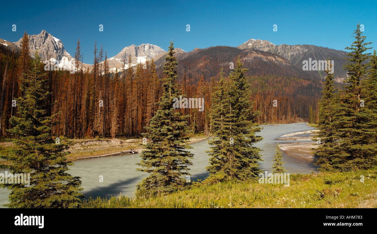 Kootenay hi-res stock photography and images - Alamy