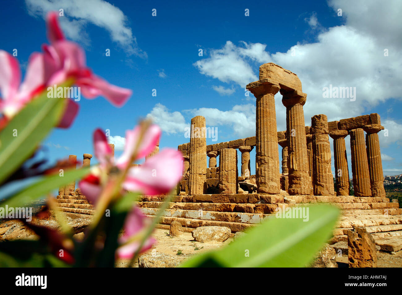 Juno Temple at the Valley of temples Agrigento Sicily Stock Photo