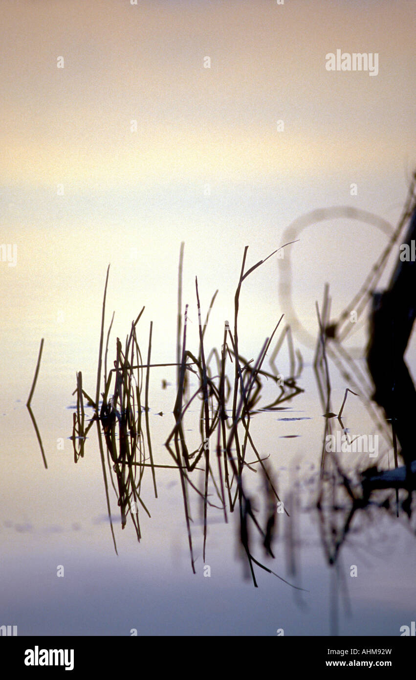 Autum day Stock Photo