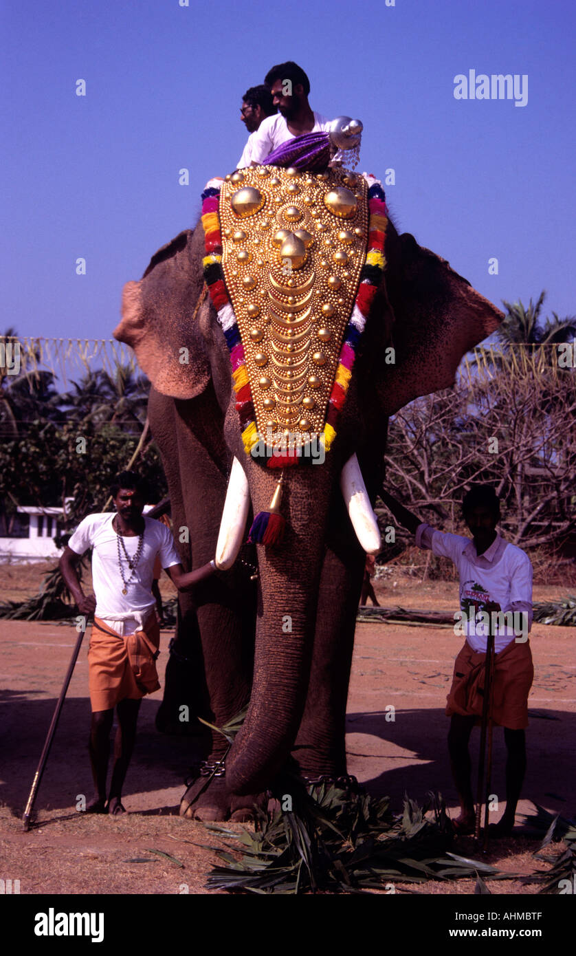 A CAPARISONED ELEPHANT KERALA Stock Photo