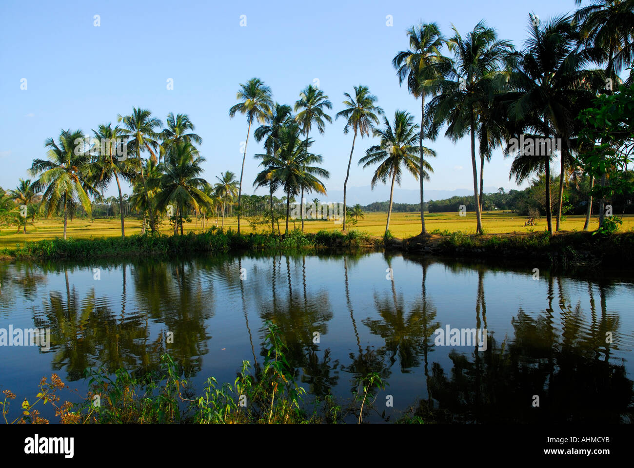 palakkad hi-res stock photography and images - Page 11 - Alamy