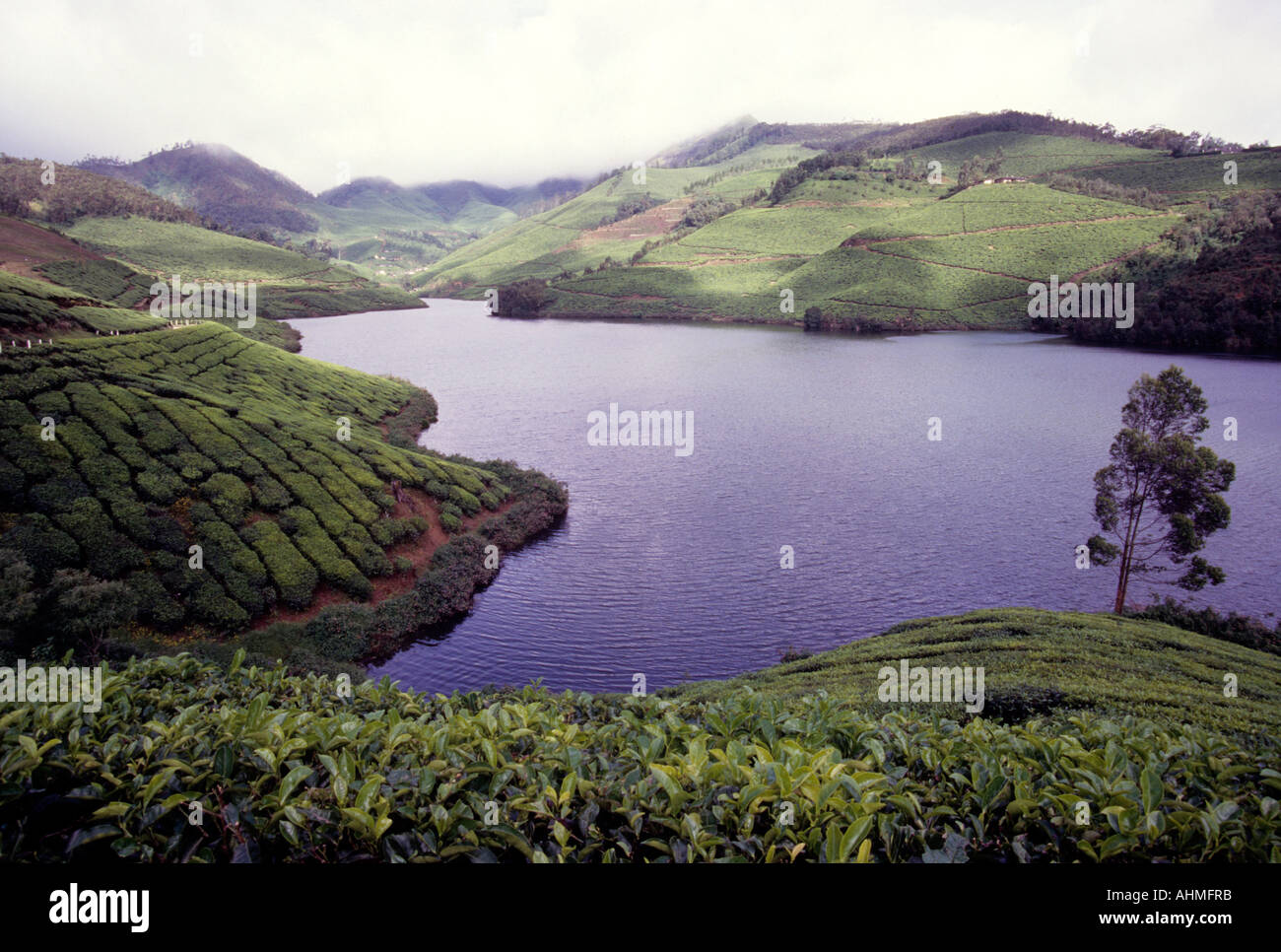 Mattupetty Lake And Dam