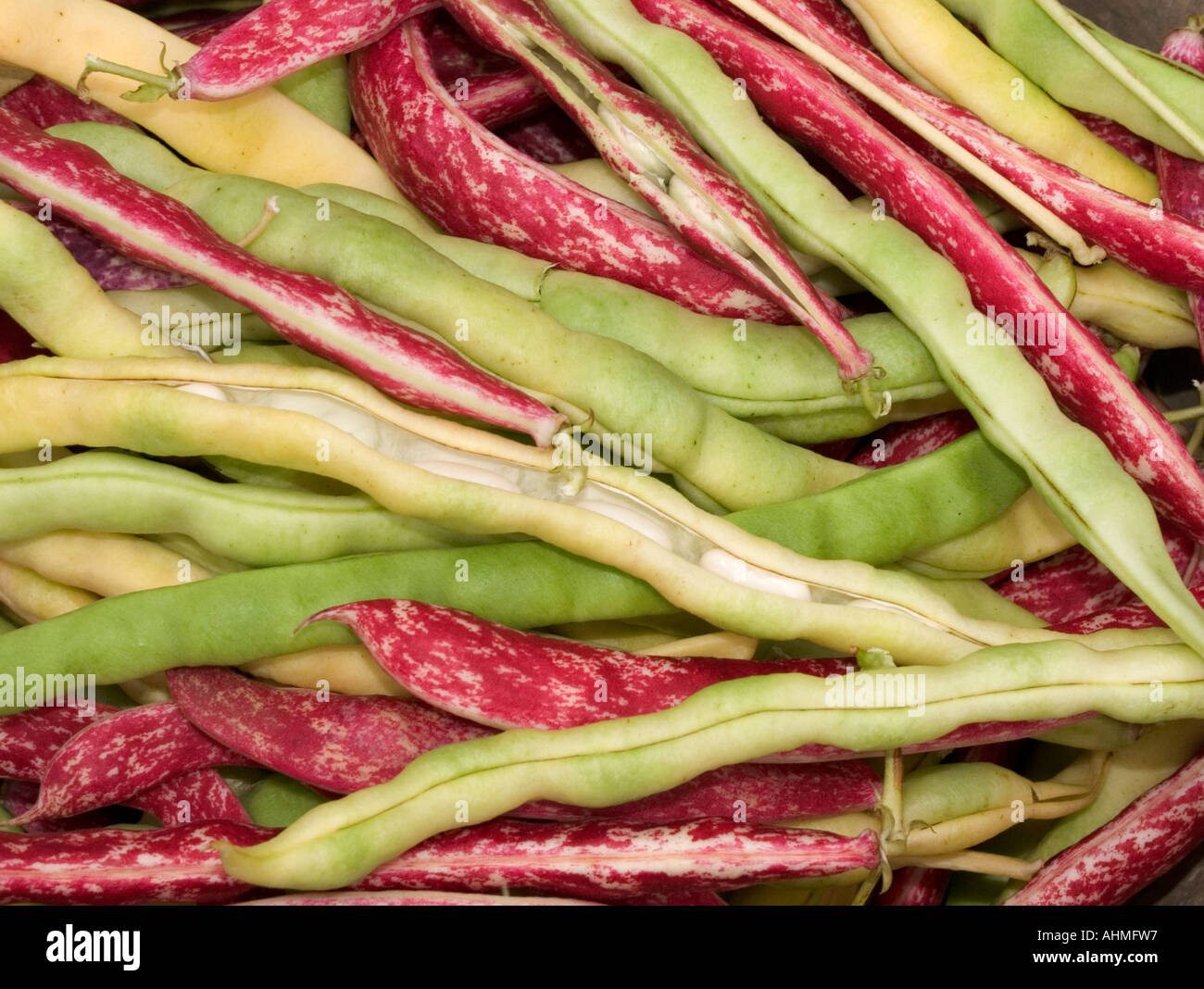 runner beans and kidney beans Stock Photo Alamy