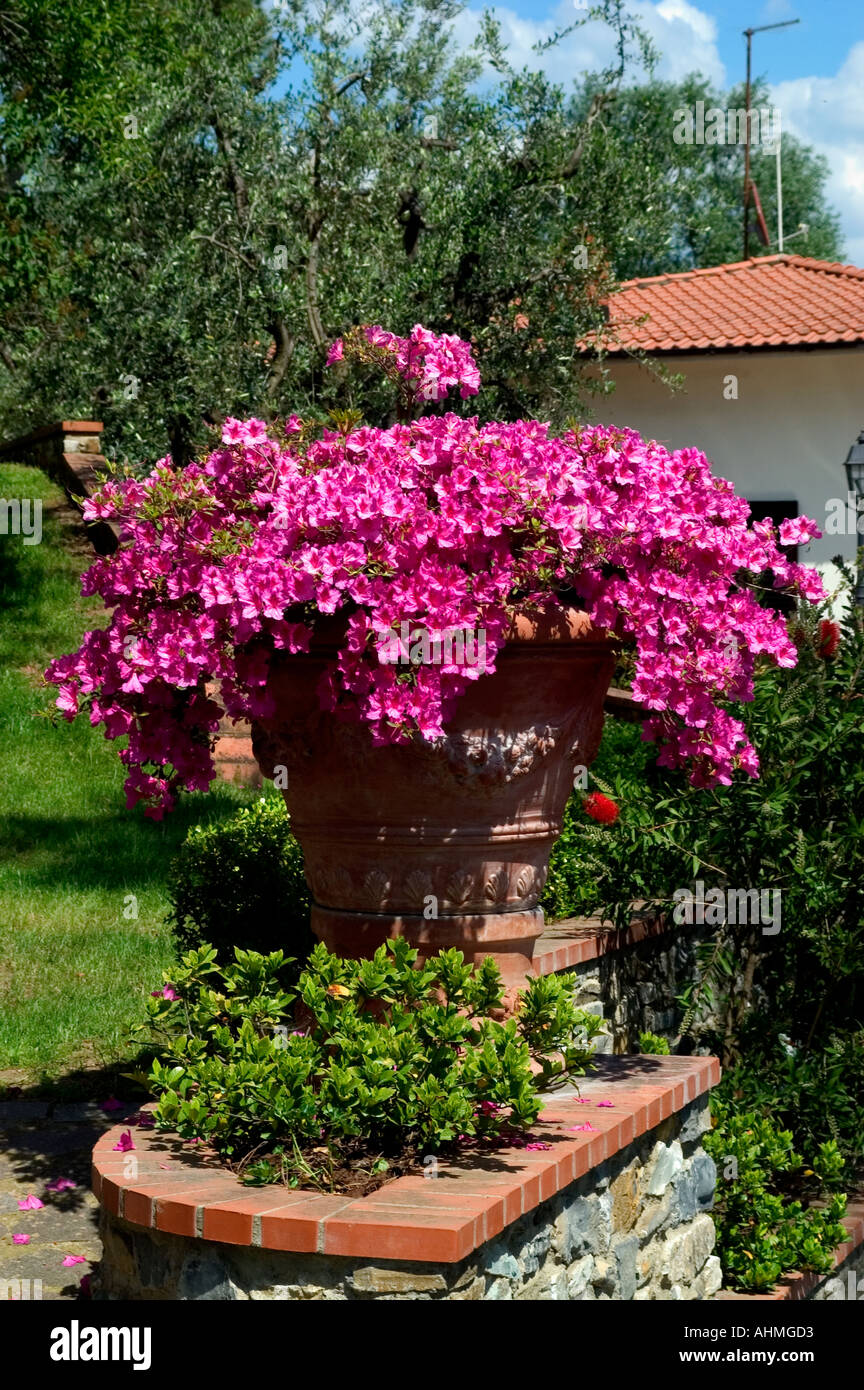 Pisa cropped tuscany hires stock photography and images Alamy