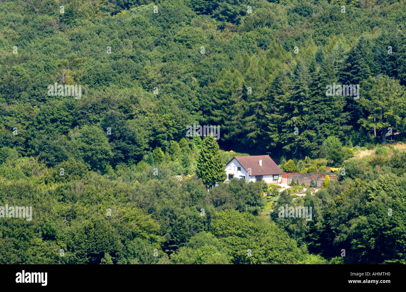 Secluded detached house in dense woodland in Wye Valley Monmouthshire South East Wales UK Stock Photo