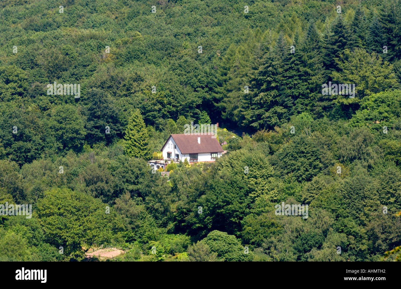 Secluded detached house in dense woodland in Wye Valley Monmouthshire South East Wales UK Stock Photo