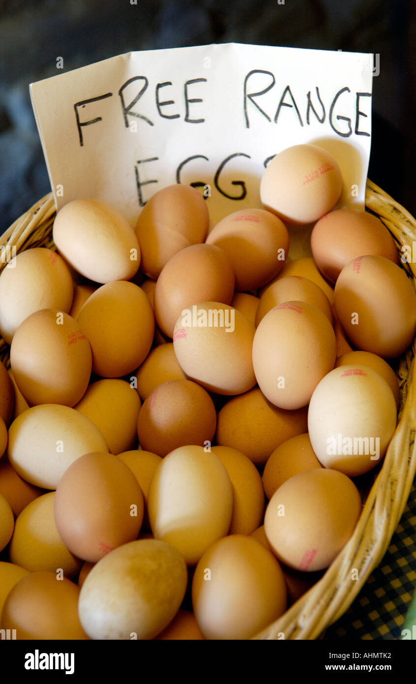 Free range eggs for sale UK Stock Photo Alamy