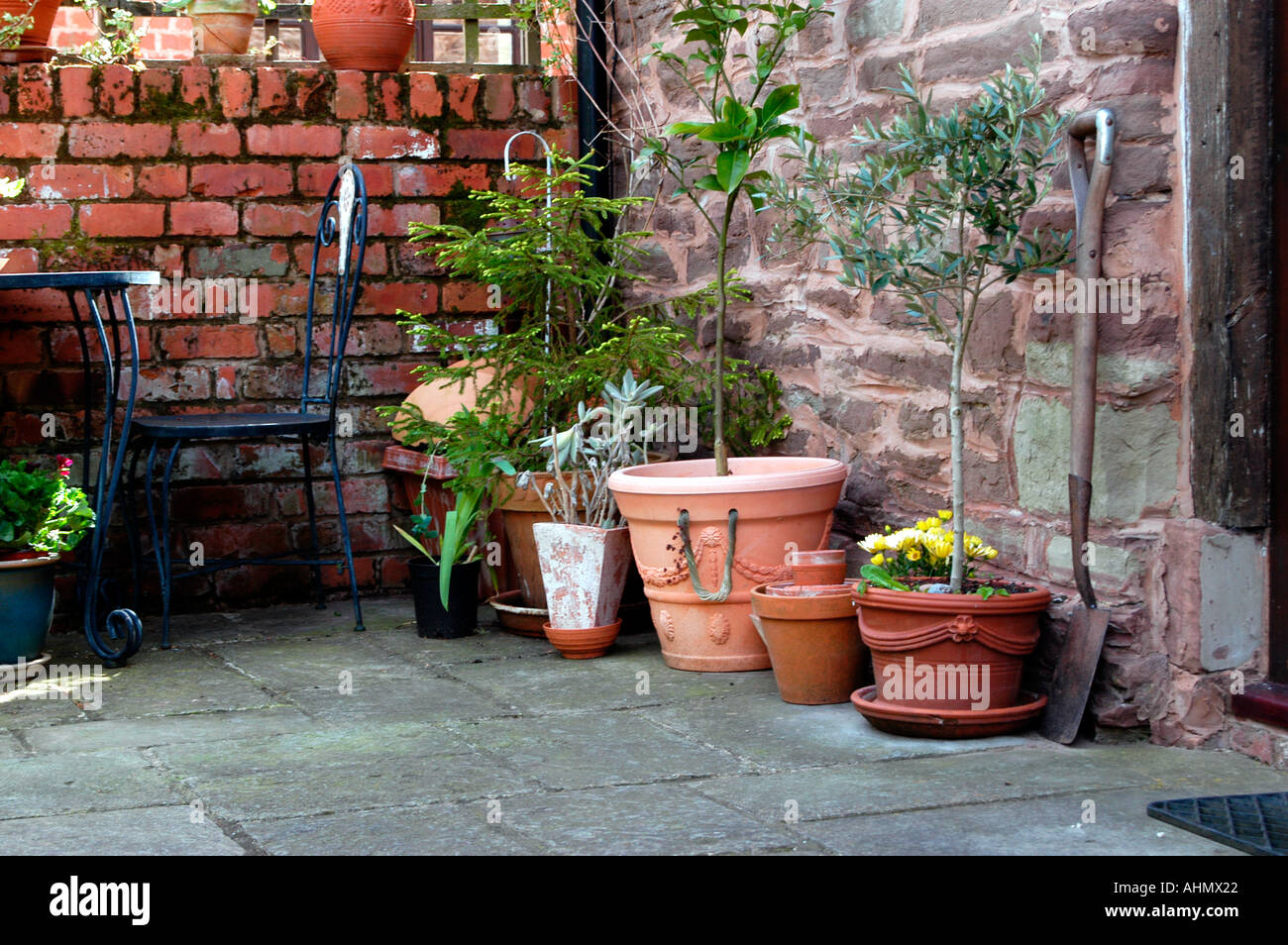 A quiet corner in an English cottage garden  Stock Photo