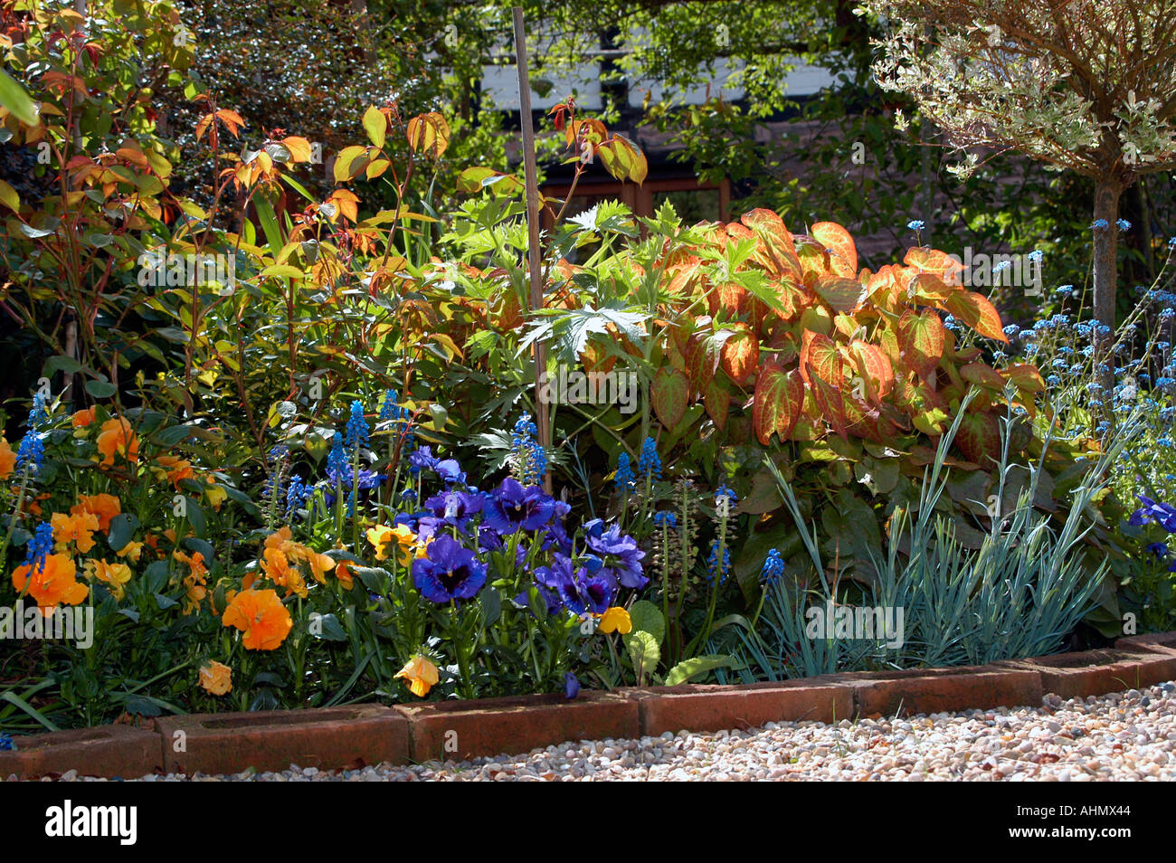 Spring flowers in an English cottage garden Stock Photo - Alamy