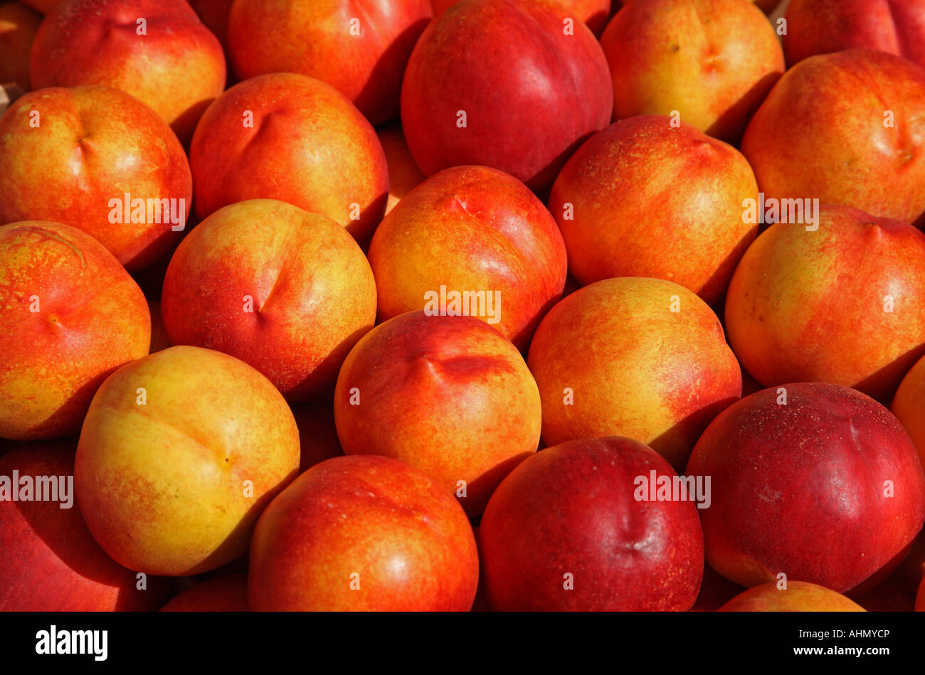 Nectarines for sale at a farmers market, Ayrshire, Scotland, UK Stock