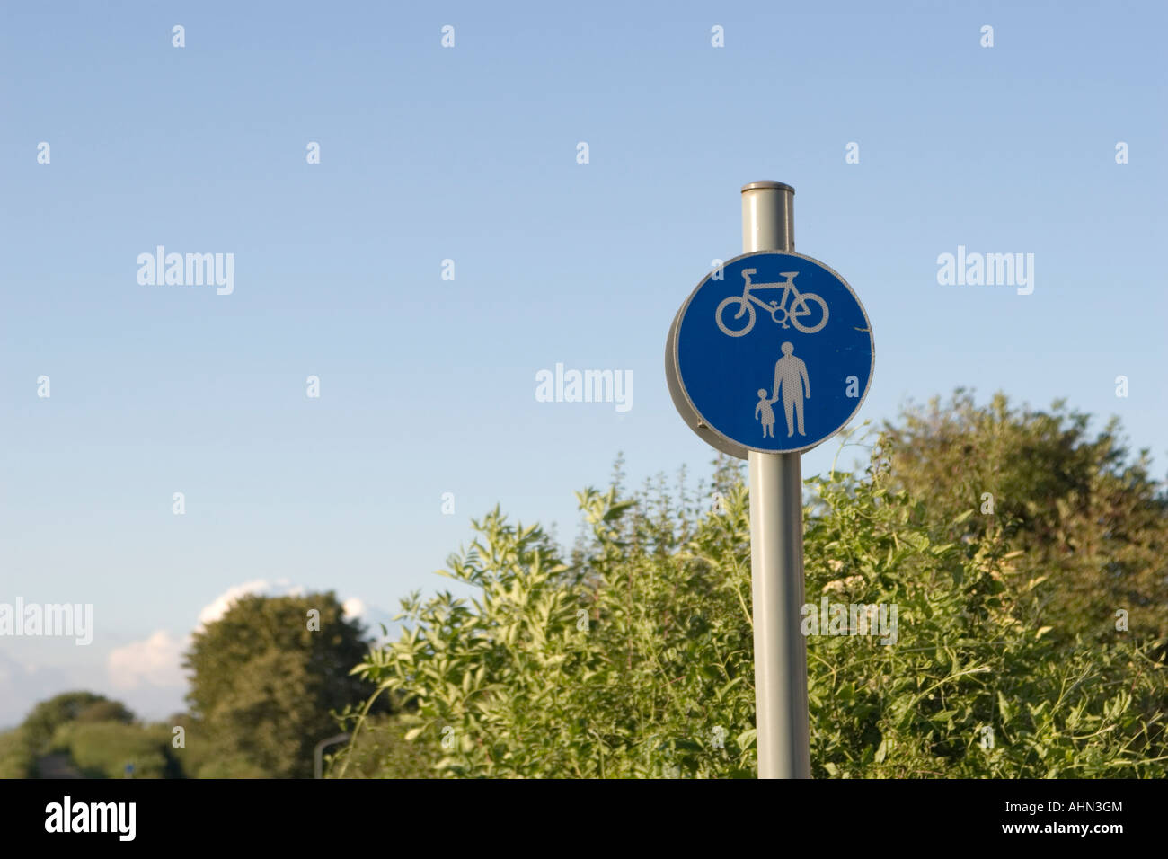Sign for cycle lane and footpath Stock Photo Alamy
