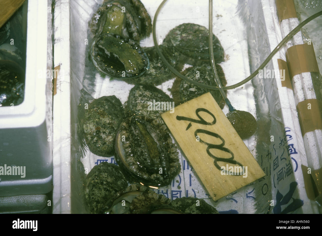 Abalone Tokyo Fish Market Stock Photo