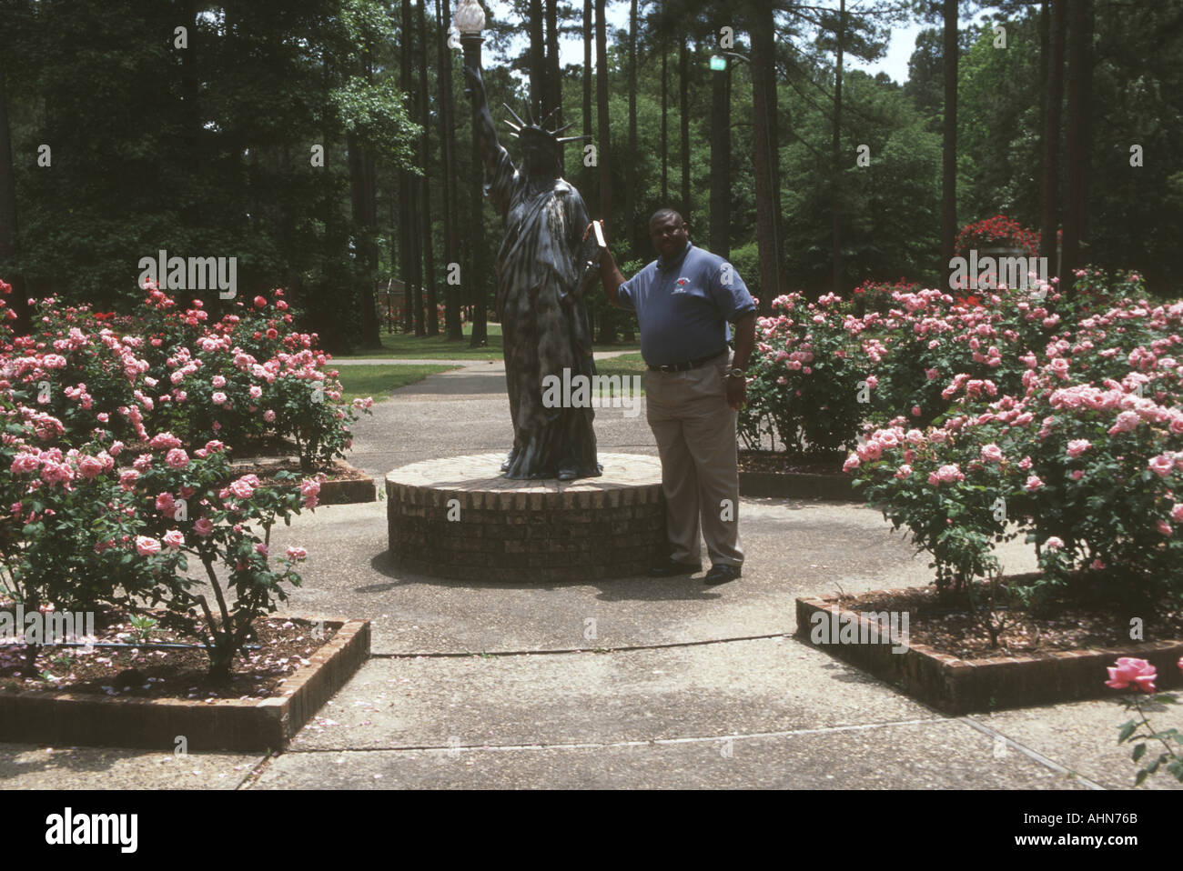 The all american rose hires stock photography and images Alamy
