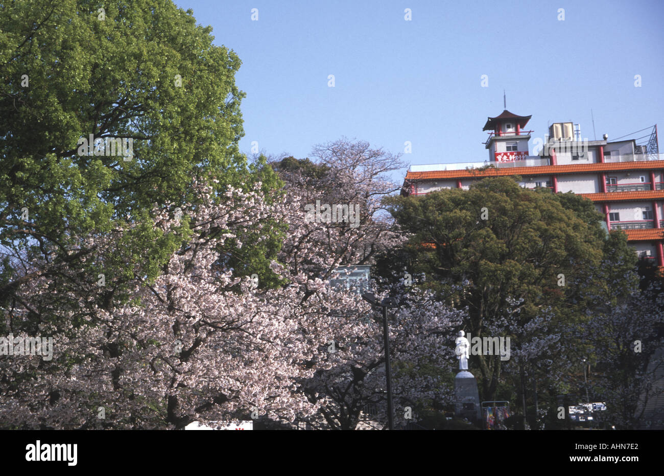 Cherry blossoms Nagasaki Japan Stock Photo