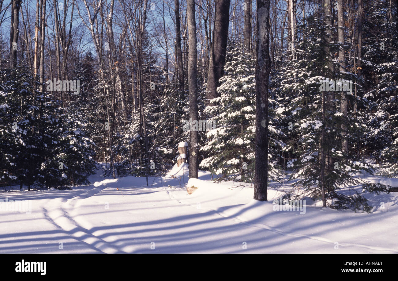 Wisconsin snow skiing hi-res stock photography and images - Alamy
