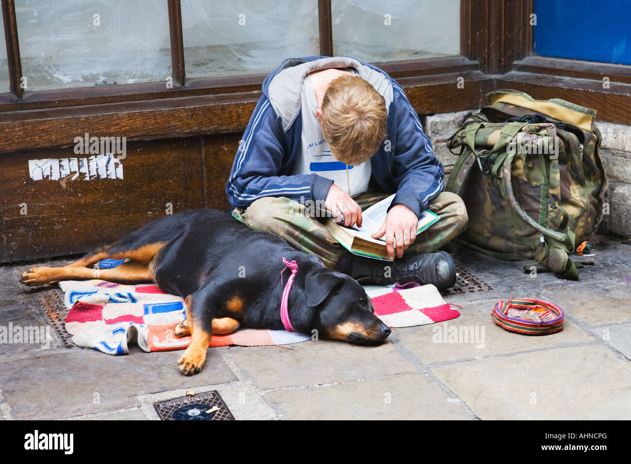 A begger and his dog sleep in a shop doorway Stock Photo Alamy