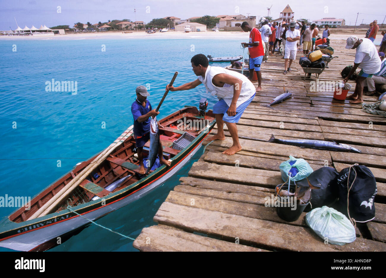 Fisherman unloading the day s catch at Sta Maria pier Sal Island Cape Verde Stock Photo