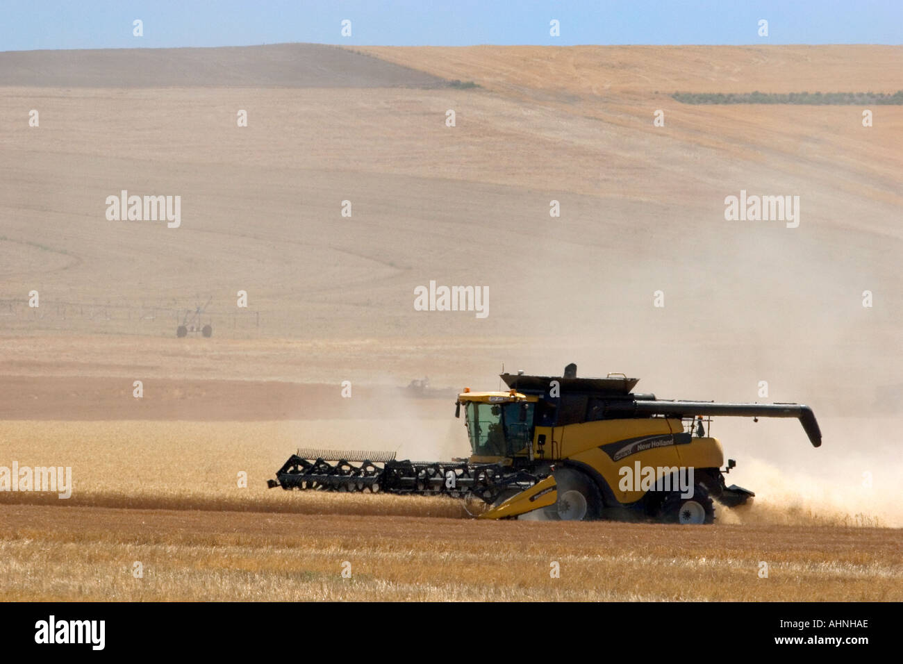 Wheat harvest near Pendleton Oregon Stock Photo Alamy