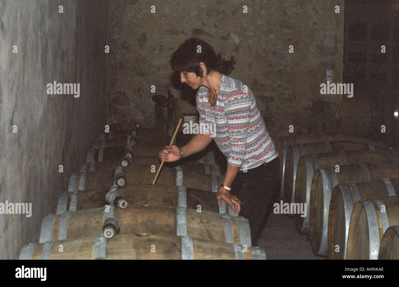 A winery worker stirring the lees (batonnage) of white wine fermenting in  oak barrels, Domaine Saint Martin de la Garrigue, Montagnac, Coteaux du  Languedoc, Languedoc-Roussillon, France Stock Photo - Alamy