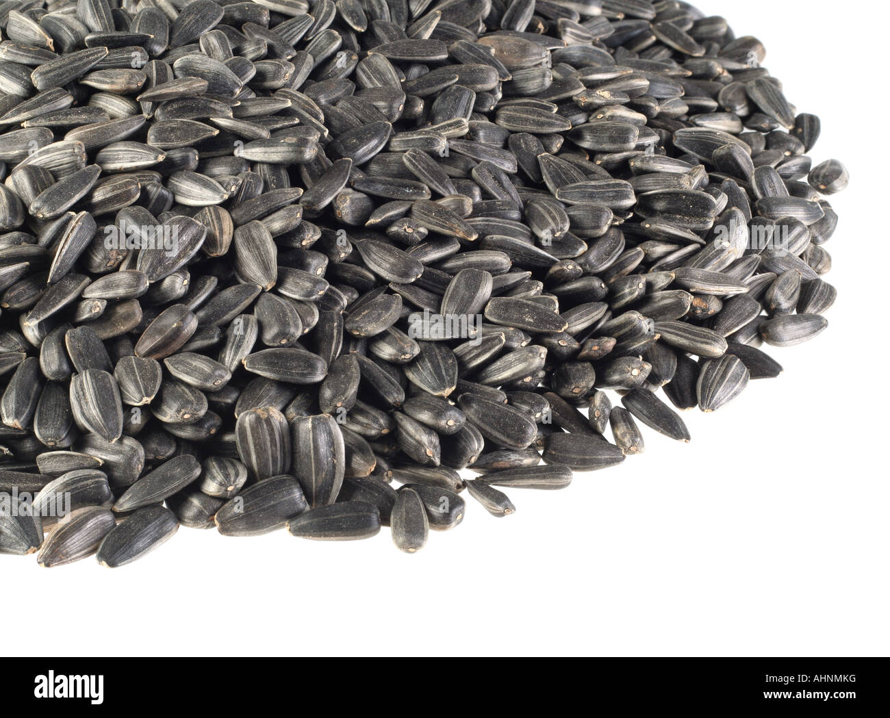 Sunflower black seed isolated on white background Stock Photo - Alamy