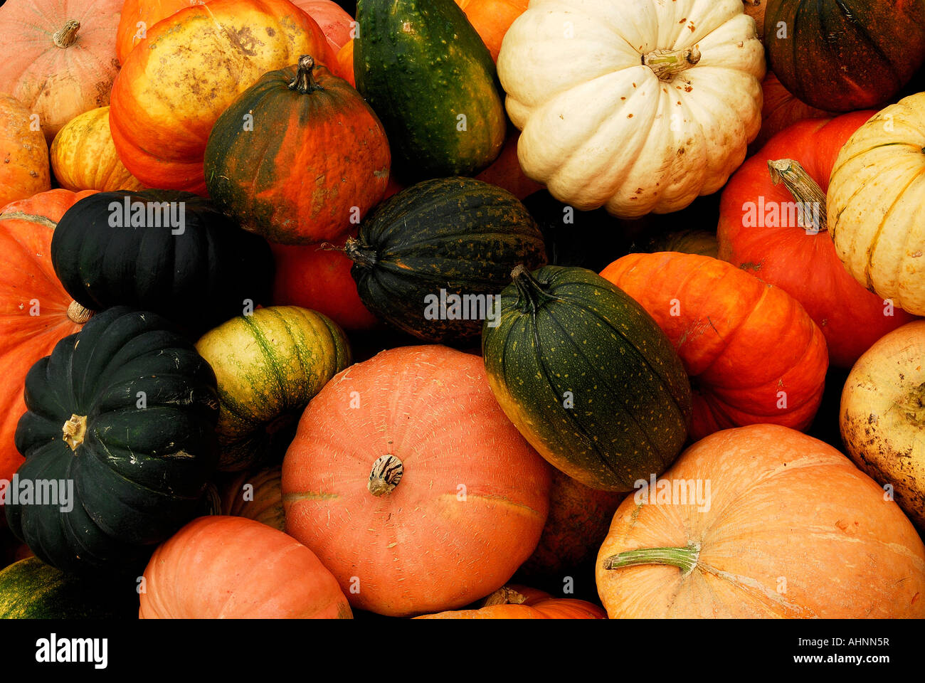 Pumpkins on sale in market Stock Photo - Alamy