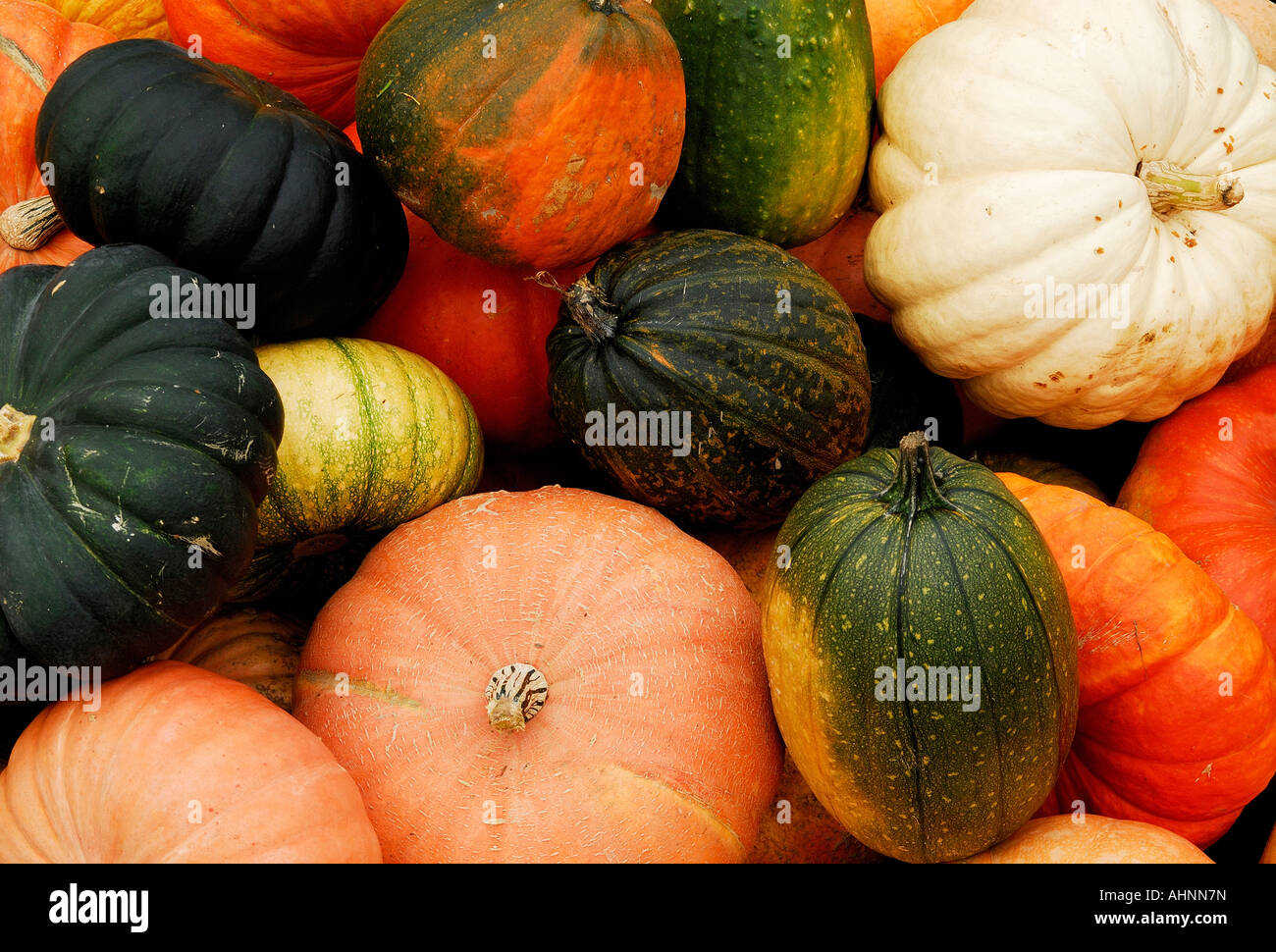 Pumpkins on sale in market Stock Photo - Alamy