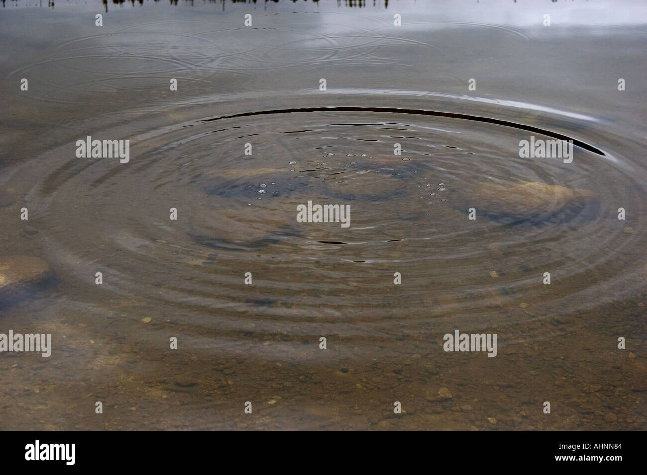Concentric ripples pebble water hi-res stock photography and images - Alamy
