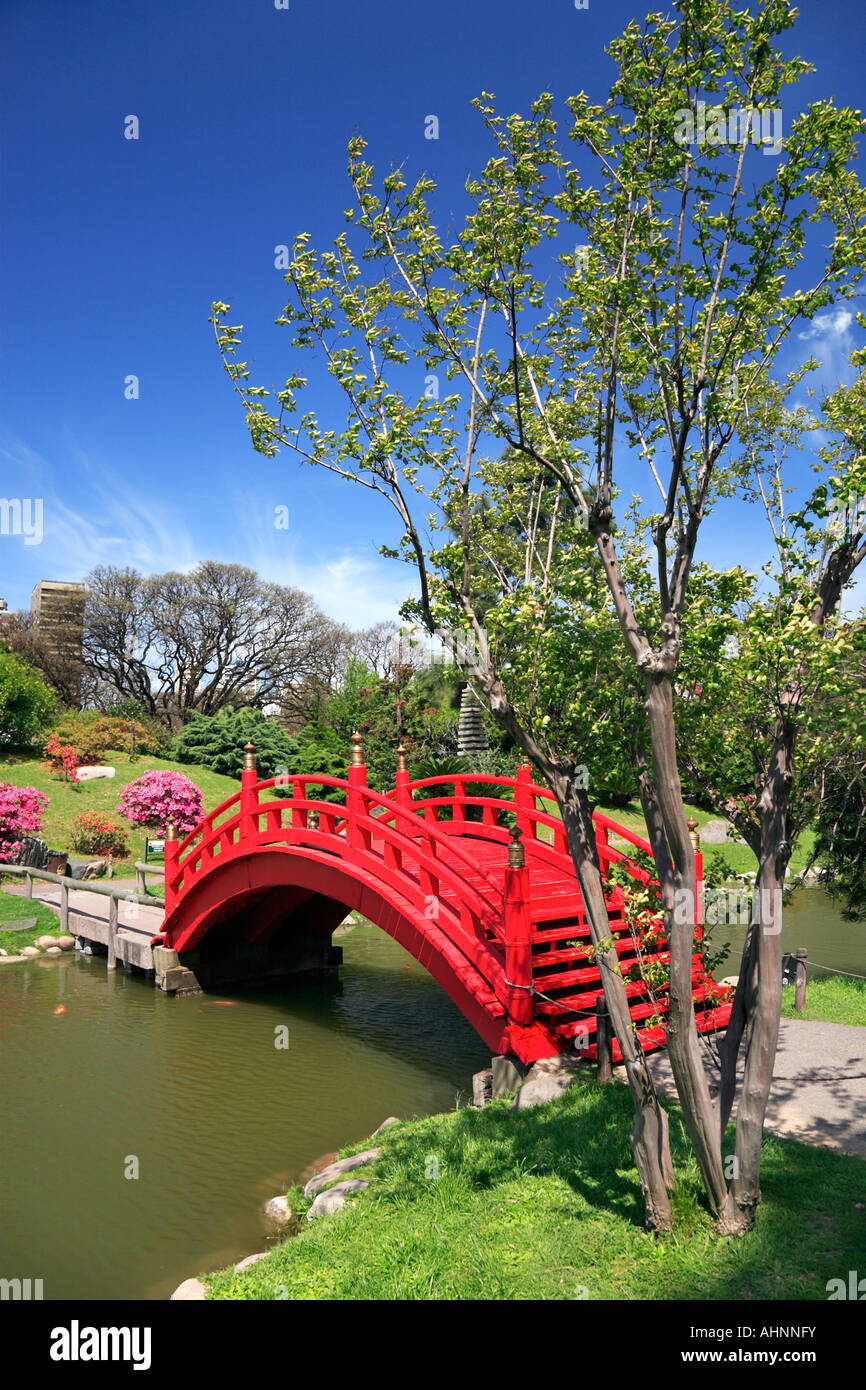 Japanesse garden red bridge over lake, with tree, Palermo, Buenos Aires,  Argentina Stock Photo - Alamy