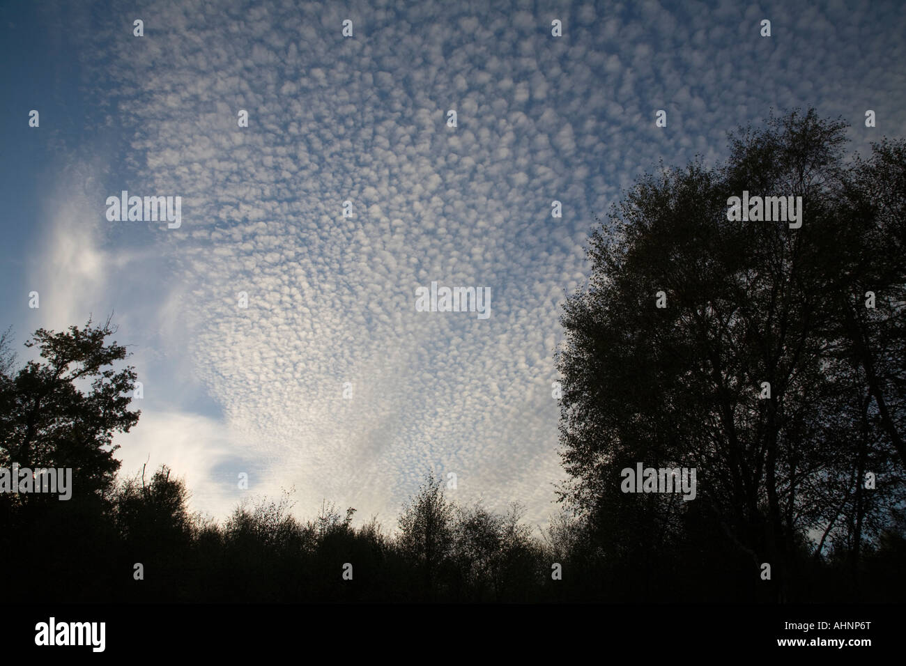 Altocumulus stratiformis cloud formation Stock Photo