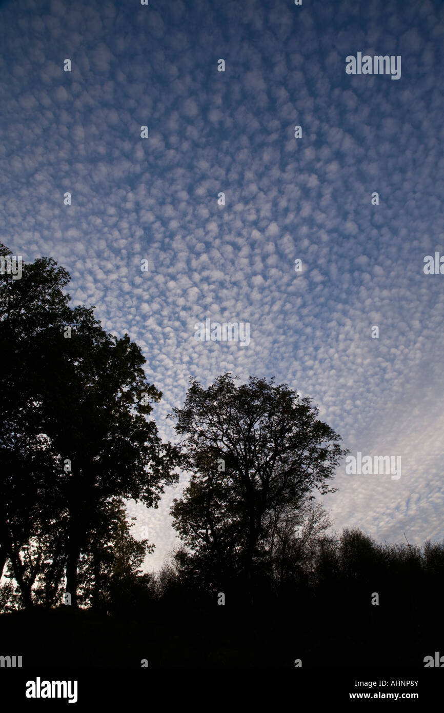 Altocumulus stratiformis cloud formation Stock Photo