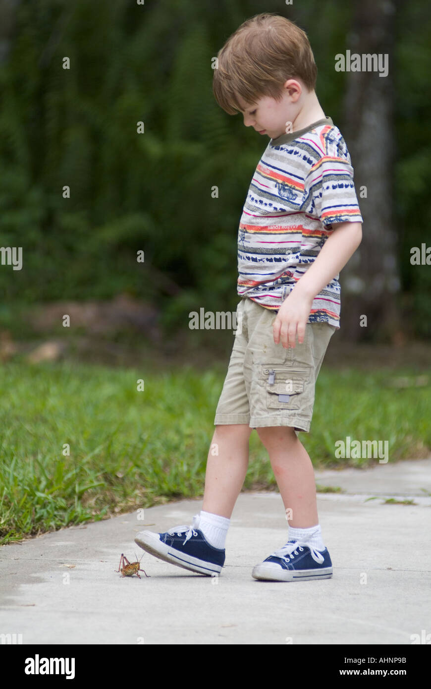 boy with bug insects grass hopper grasshopper stepping stepped on squish squashed big and small power crush Stock Photo