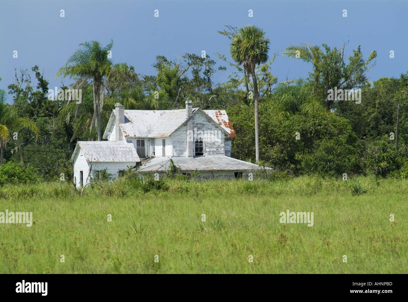 abandoned Florida Farm house old home Stock Photo: 4739772 