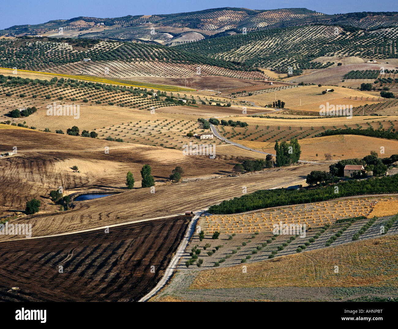 Agricultural landscape north-west of Granada Stock Photo