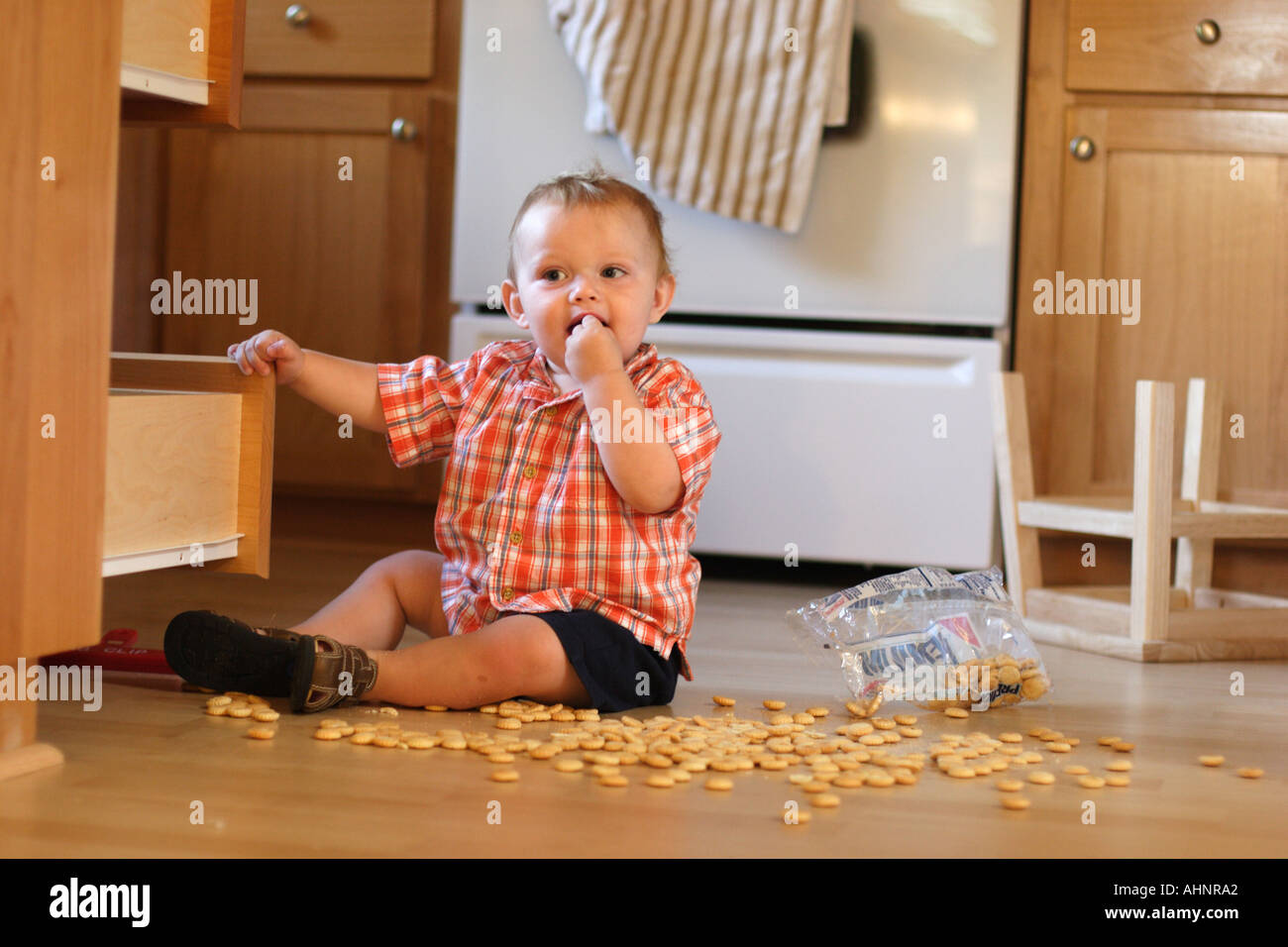 One year old boy making mess in kitchen Stock Photo