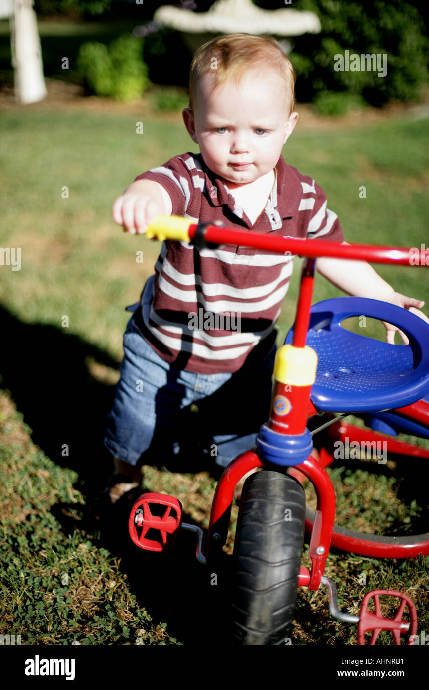 12 month old boy pushing tricycle Stock Photo Alamy