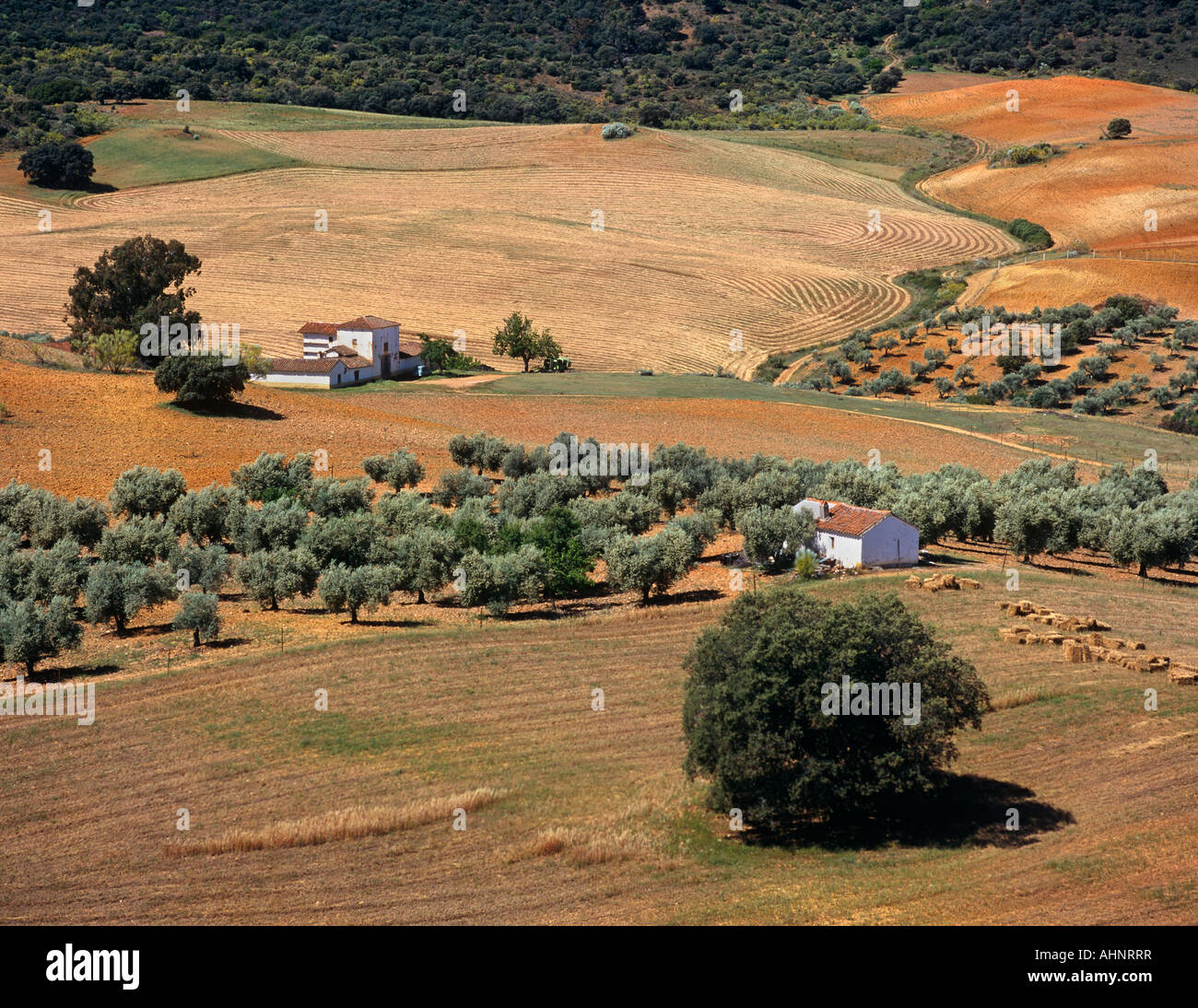 Landscape near Talavera Toledo province Spain Stock Photo